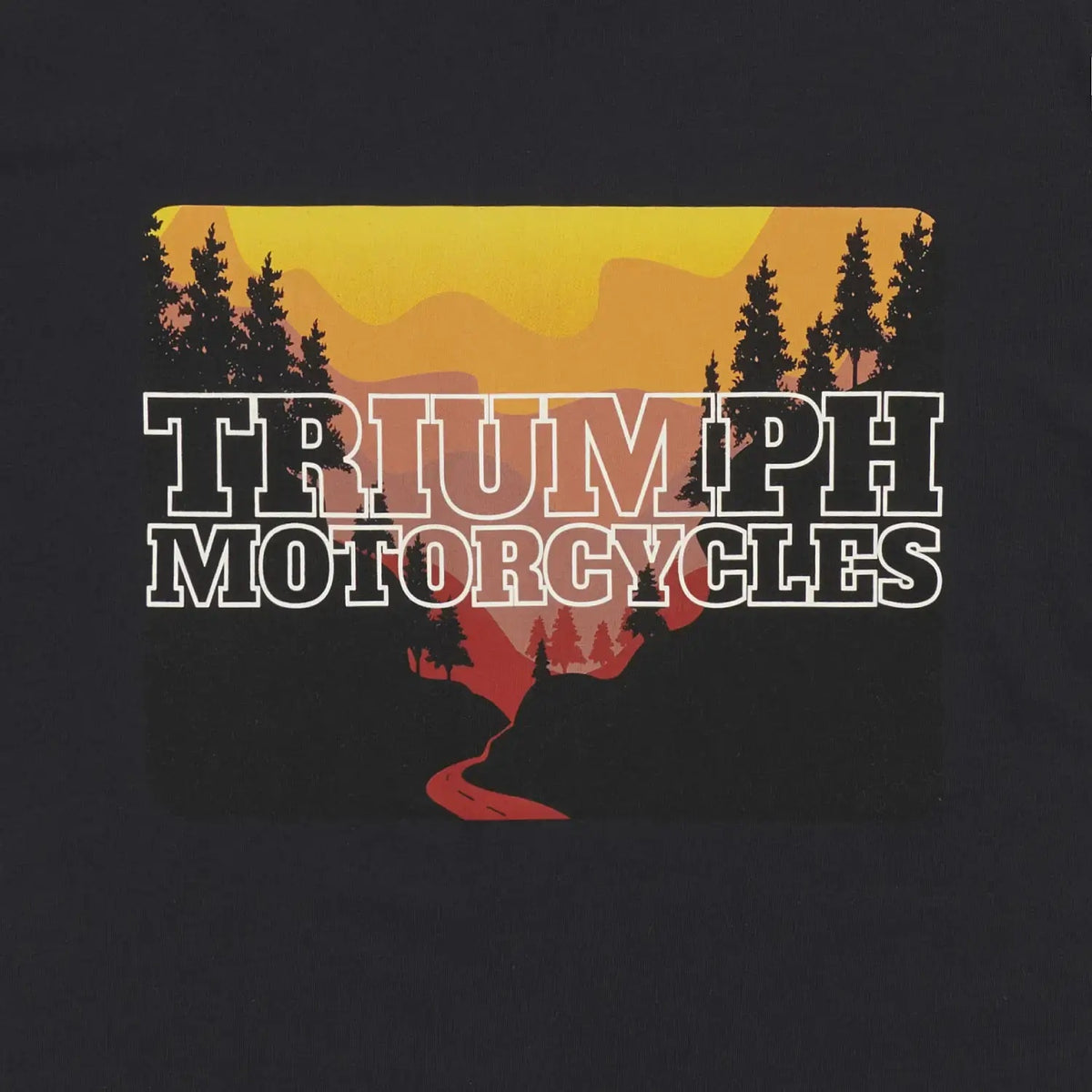 TRIUMPH ROADTRIP T-PAITA